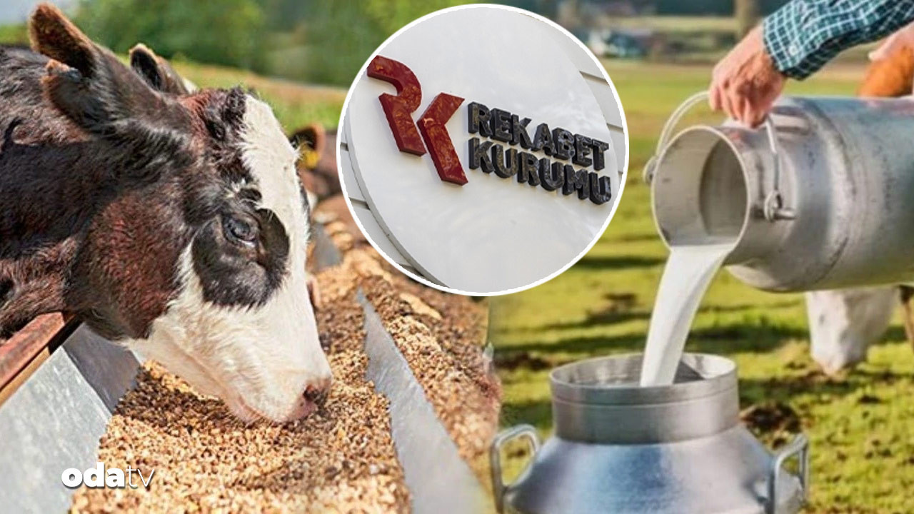 39 sut sanayicisine sut karsiligi yem sorusturmasi 3iQ99sDZ