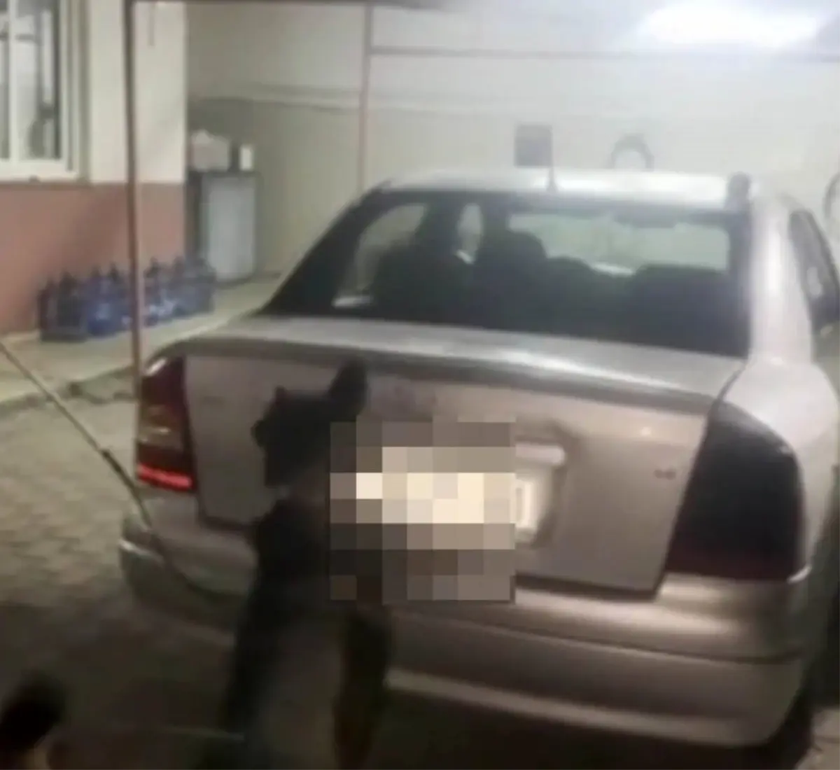 adanada 4 kilo skunk bulundu gp99f8um