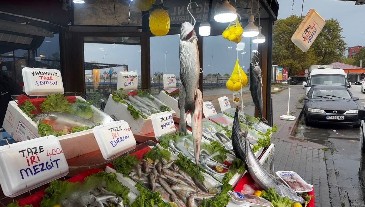 hamsi beklentisi yuksek palamut icin umut sifir 1M9M8N2a