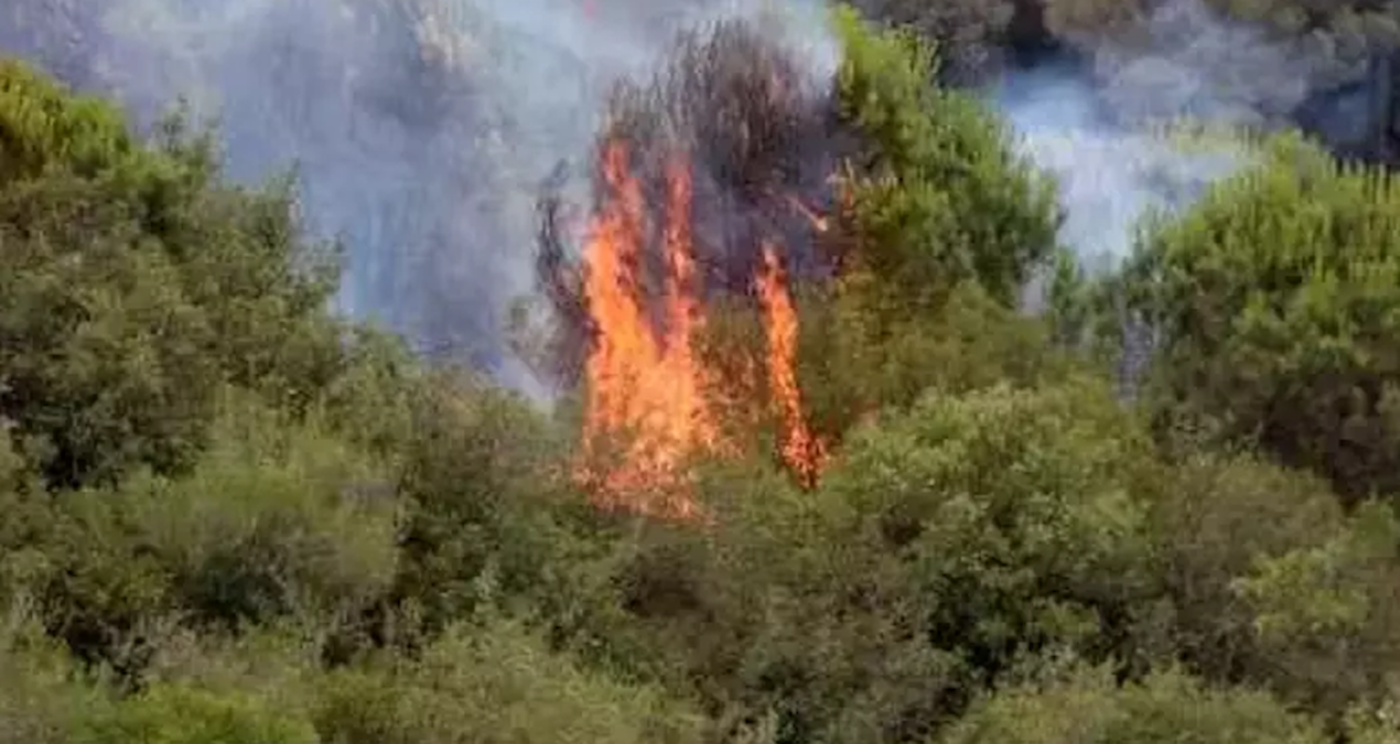 istanbulda yangin panigi cok sayida ekip sevk edildi qRIBntvd