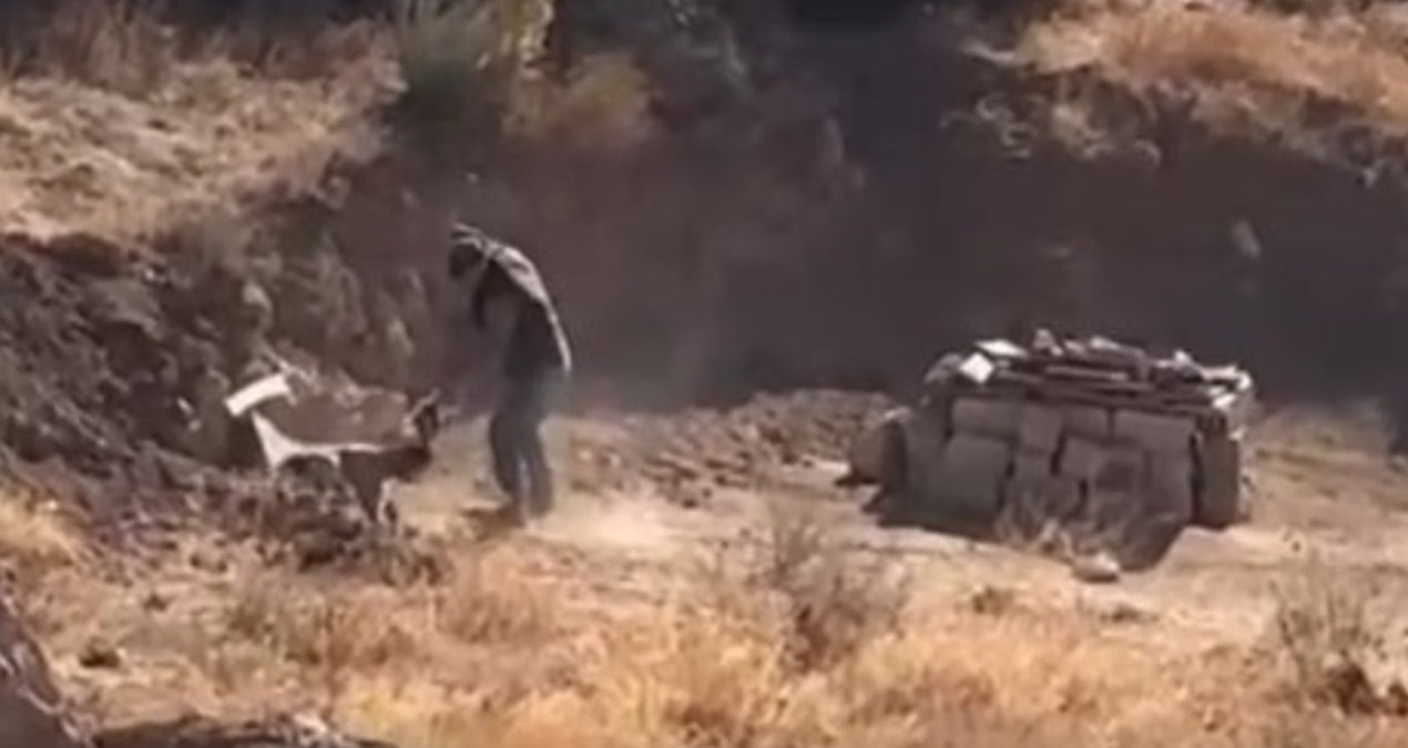 yavru kopege eziyet saniye saniye kaydedildi OvEcWVID