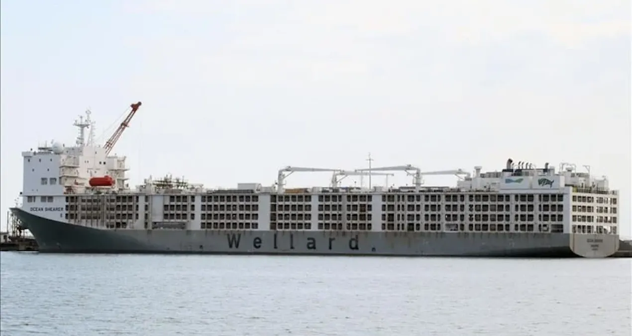 apar topar avrupanin kapisi calindi yil bitmeden yuz binlercesi turkiyeye gelecek 28d9F2rx