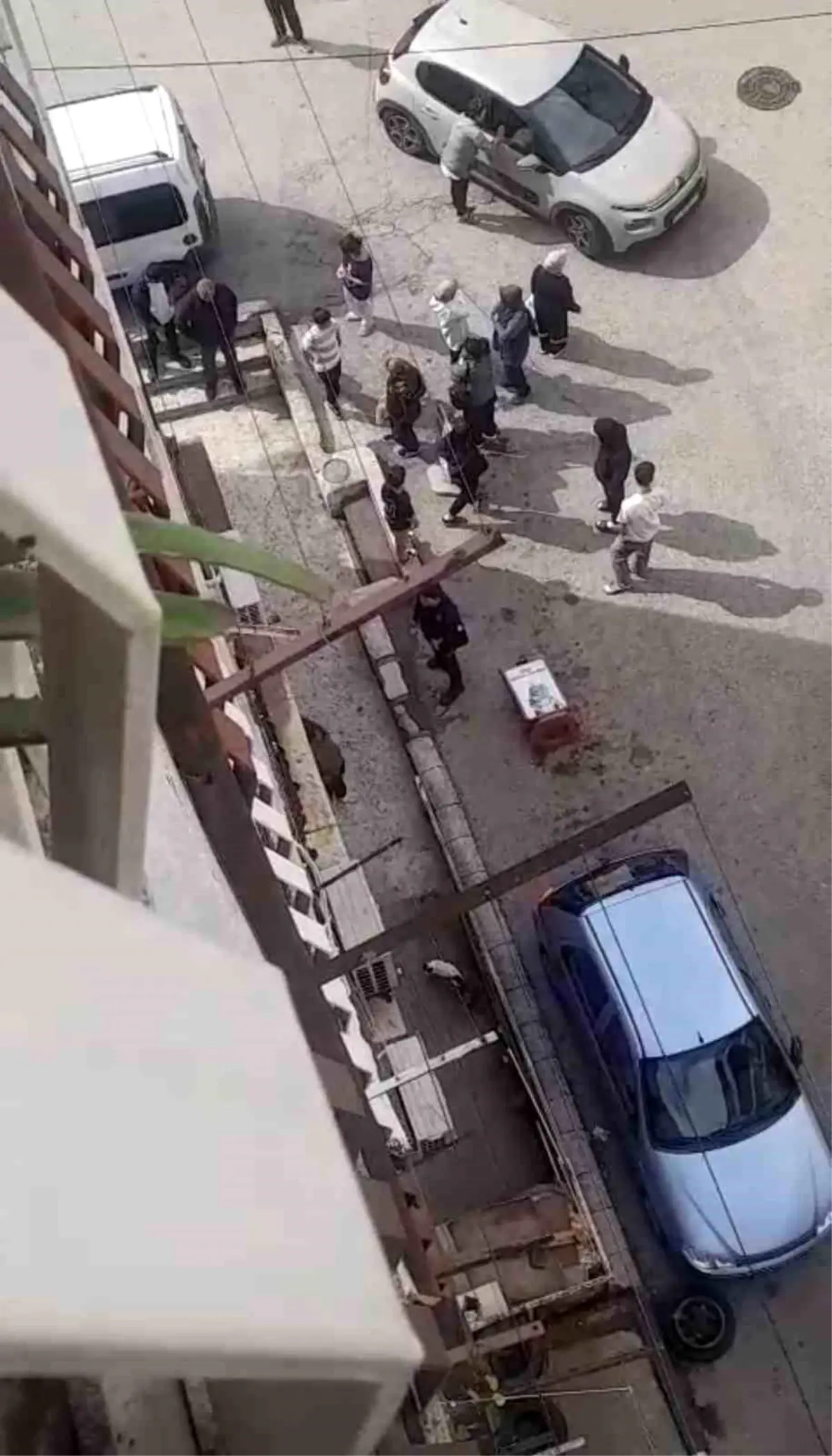 bursada petshopta taciz iddiasi ywRByfA7