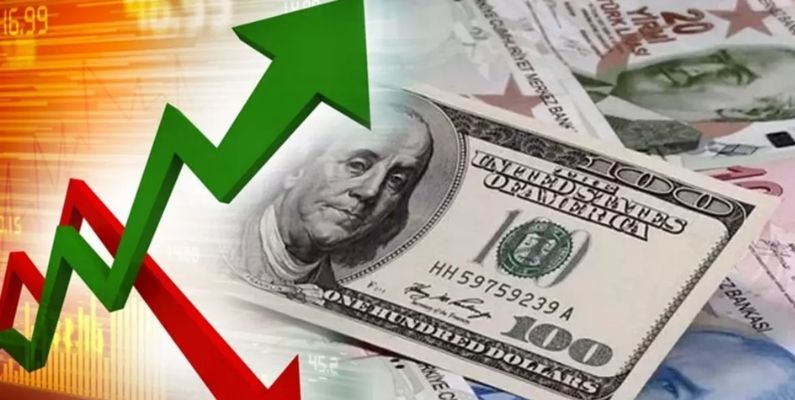 Türkiye'nin UYP Verileri Açıklandı: Kasım Ayında 313,9 Milyar Dolarlık Açık