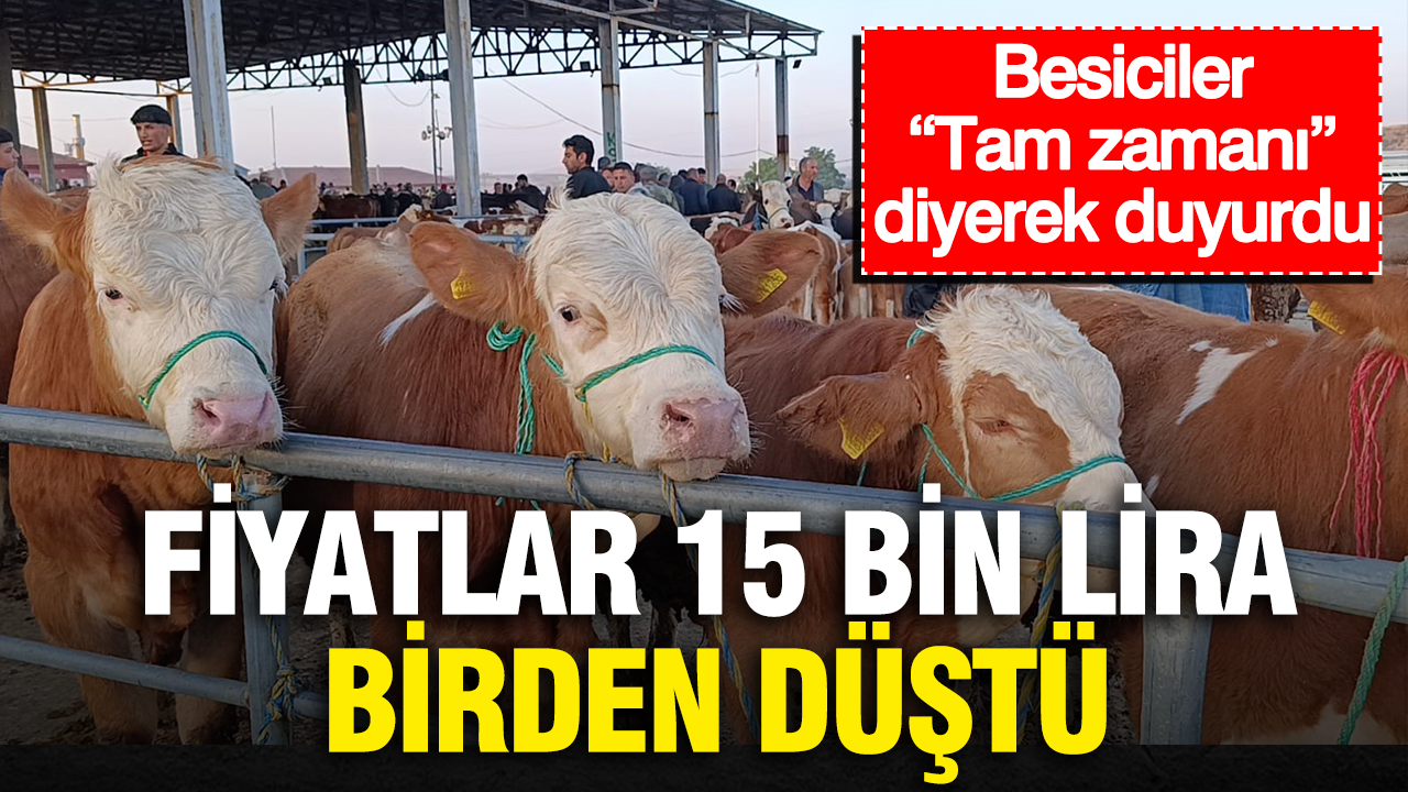 Fiyatlar 15 bin lira birden dustu besiciler tam zamani diyerek duyurdu 8UaR8dRU