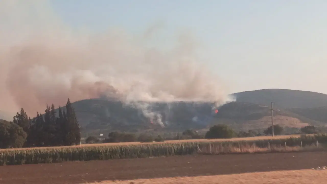 İzmir’in Torbalı ilçesinde orman yangını Haber gorseli